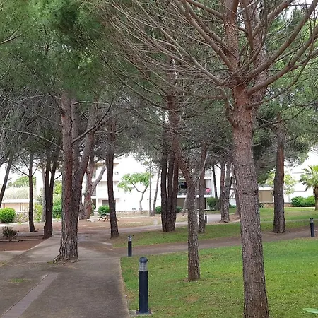 Très Beau T3 Dans Résidence Avec Piscine à 5 Min à Pied De La Et Commerces Apartamento Calvi (Corsica)